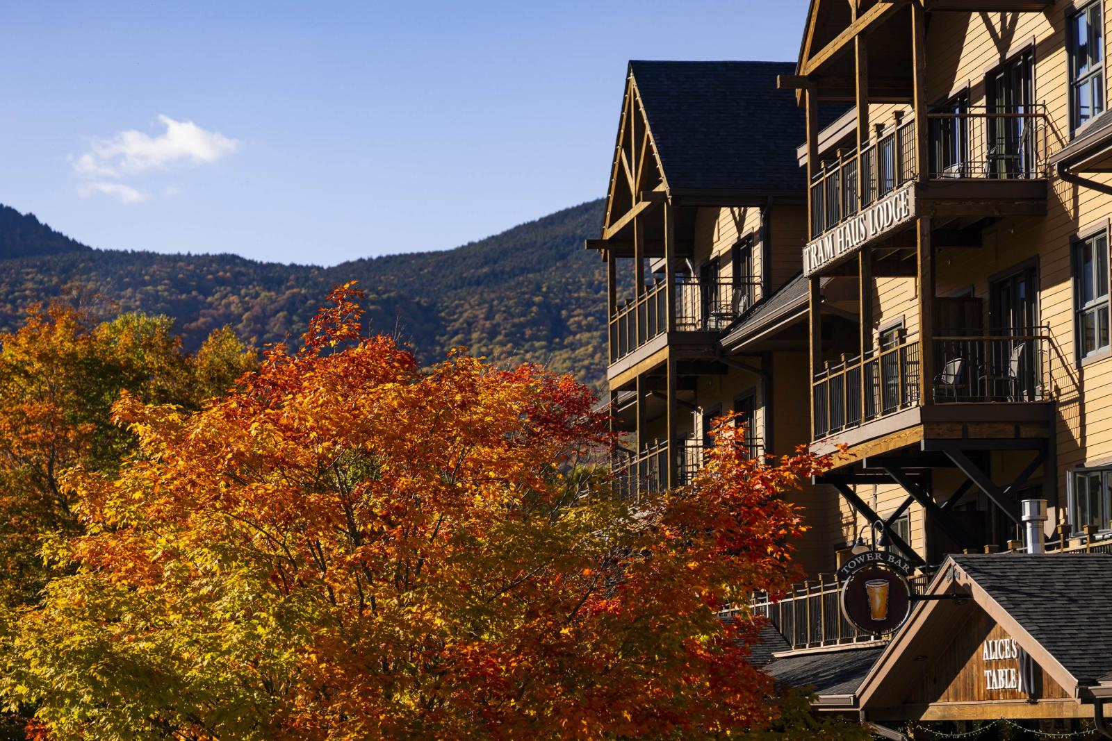 Brown buildings next to colorful autumn trees, with mountains in the background.