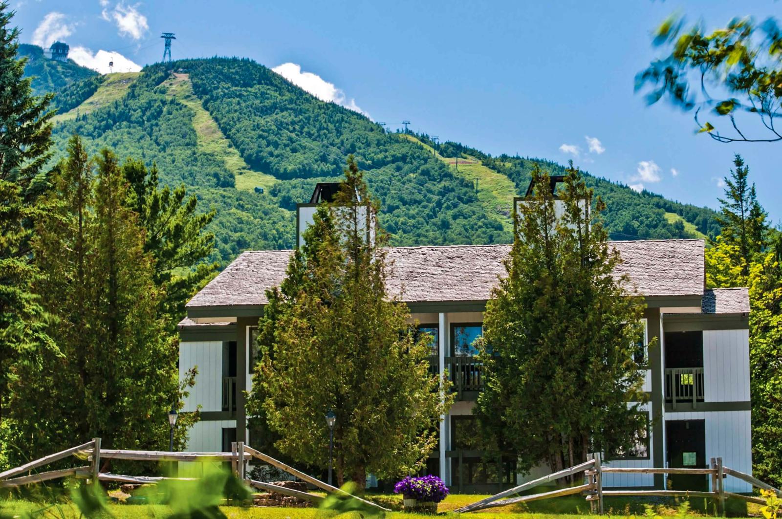 Mountain lodge with trees, set against a green, sloping mountain under a blue sky.